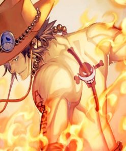 one piece portgas ace background paint by number