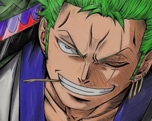 One Piece Zoro paint by numbers