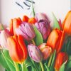 Orange And Purple Tulips paint by numbers