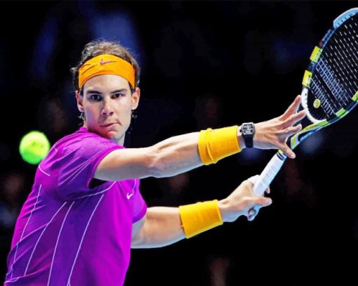 Rafael Nadal Champion Hard Slam paint by numbers