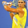 Rafael Nadal Grand Slam Championship paint by numbers