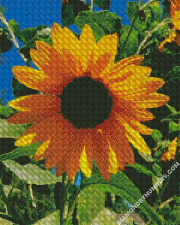 Single Sunflower - 5D Diamond Painting - DiamondByNumbers - Diamond  Painting art