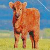 Brown Calf Cow diamond painting