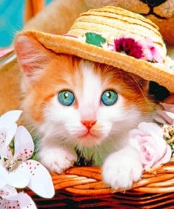 Cat With A Hat paint by numbers