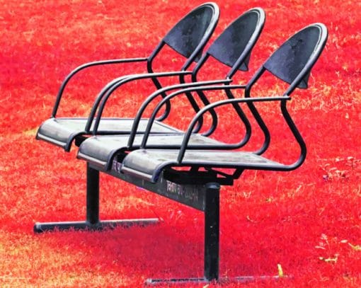 Chairs In Red Weed Leaves paint by numbers
