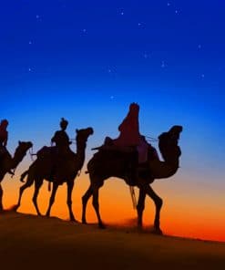 Evening Desert Camels Paint By Numbers