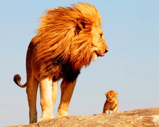 Father And Sun Lions