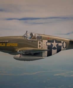 Fighter Airplane P51 Mustang Flight paint by numbers