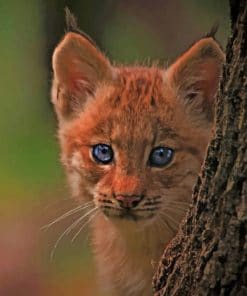 Forest Bobcat Cub paint by numbers