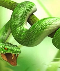 Green Tree Snake paint by numbers