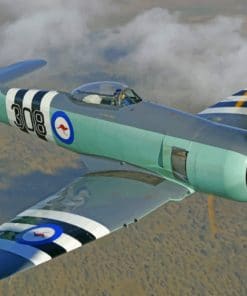 Hawker Sea Fury Plane paint by numbers
