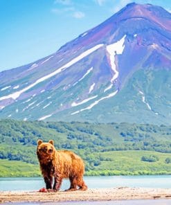 Kamchatka Russian Lake Paint By Numbers
