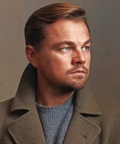 Actor Leonardo DiCaprio paint by numbers
