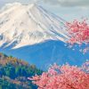 Mount Fuji Japan paint by numbers