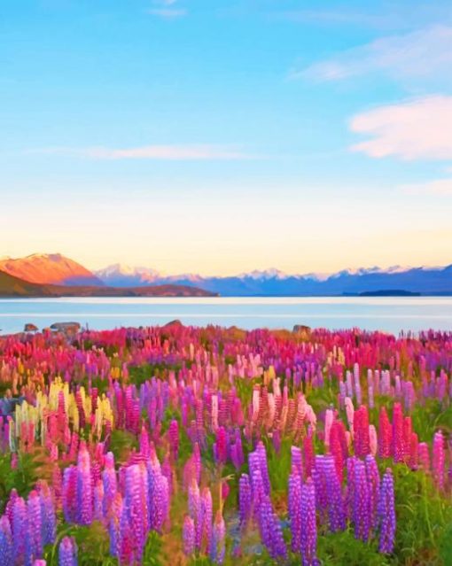 New Zealand Tekapo Lake