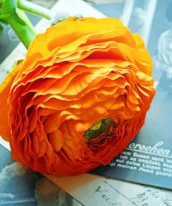 Orange Flower With Vintage Postcards paint by numbers