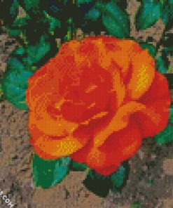 Orange Garden Rose diamond painting