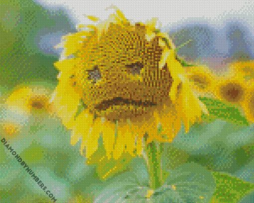 Sad Yellow Sunflower diamond paintings