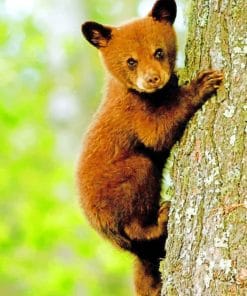 Small Bear On Tree paint by numbers