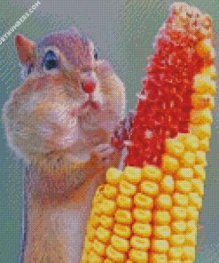Squirrel Eating Corn diamond painting