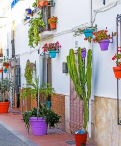 Streets-Plants-Flower