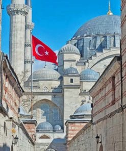 Suleymaniye Mosque Turkey paint by numbers