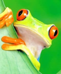 Wide Orange Frog Eyes
