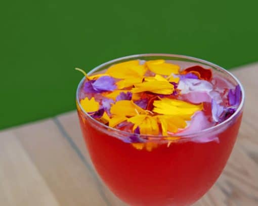 A Taste Of Summer With A Floral Cocktail paint by numbers