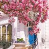 Aesthetic House Cherry Blossom paint by numbers