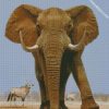 african bull elephant diamond paintings