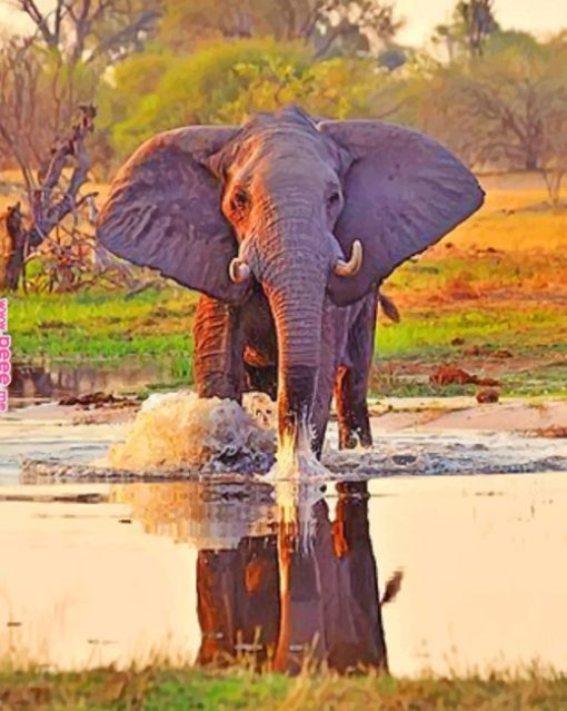 African Elephant In River paint by numbers