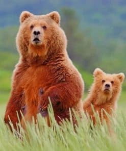 Alaska Brown Bear And Cub paint by numbers