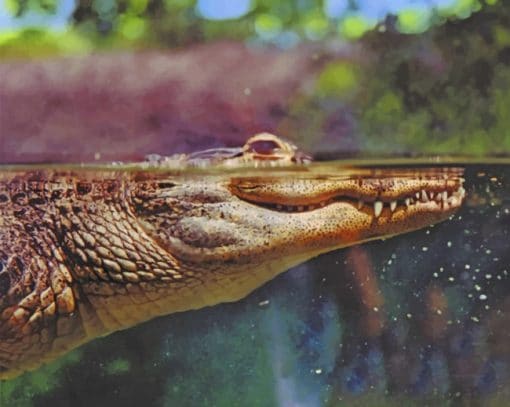 Alligator In The Water paint by numbers