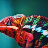 Animal Blur Chameleon Multi Colors paint by numbers