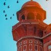 Birds Flying Above Safdarjung Tomb paint by numbers