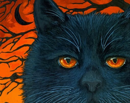 Black Cat Halloween Art paint by numbers