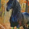 black horse diamond paintings