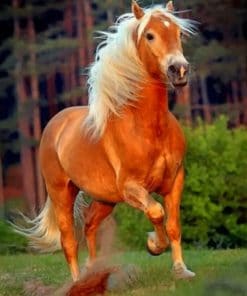 Brown Horse With White Hair paint by numbers