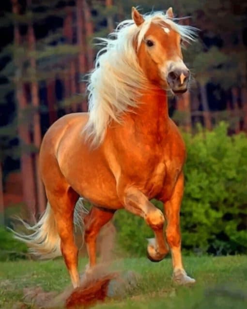 Brown Horse With White Hair paint by numbers