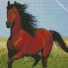 brown horse with black hair diamond paintings