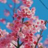 cherry blossom plant diamond painting