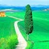 Country Road Tuscany Italy paint by numbers