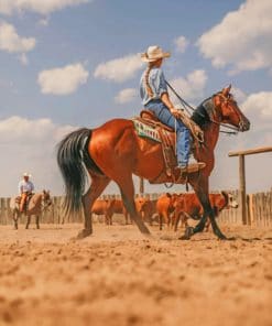 Cowgirl On Stallion Horse paint by numbers