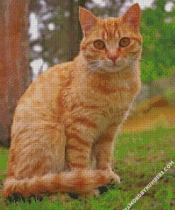 cute orange tabby cat diamond paintings