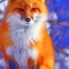 Cute Orange Fox paint by numbers