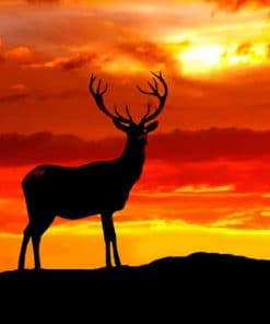 Deer Silhouette In Sunset paint by numbers