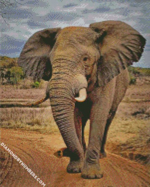 elephant aniamls diamond painting