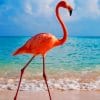 Flamingo In The Beach paint by numbers