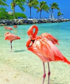Flamingos In The Beach paint by numbers