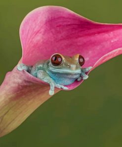 Green Tree Frog On A Pink Calla Lily paint by numbers